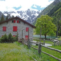 Miralago: Refuge