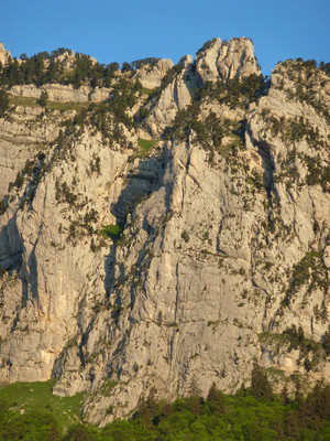Eperon des Pins Eperon des Pins
