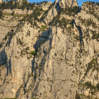 Eperon des Pins