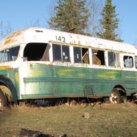 Magic Bus