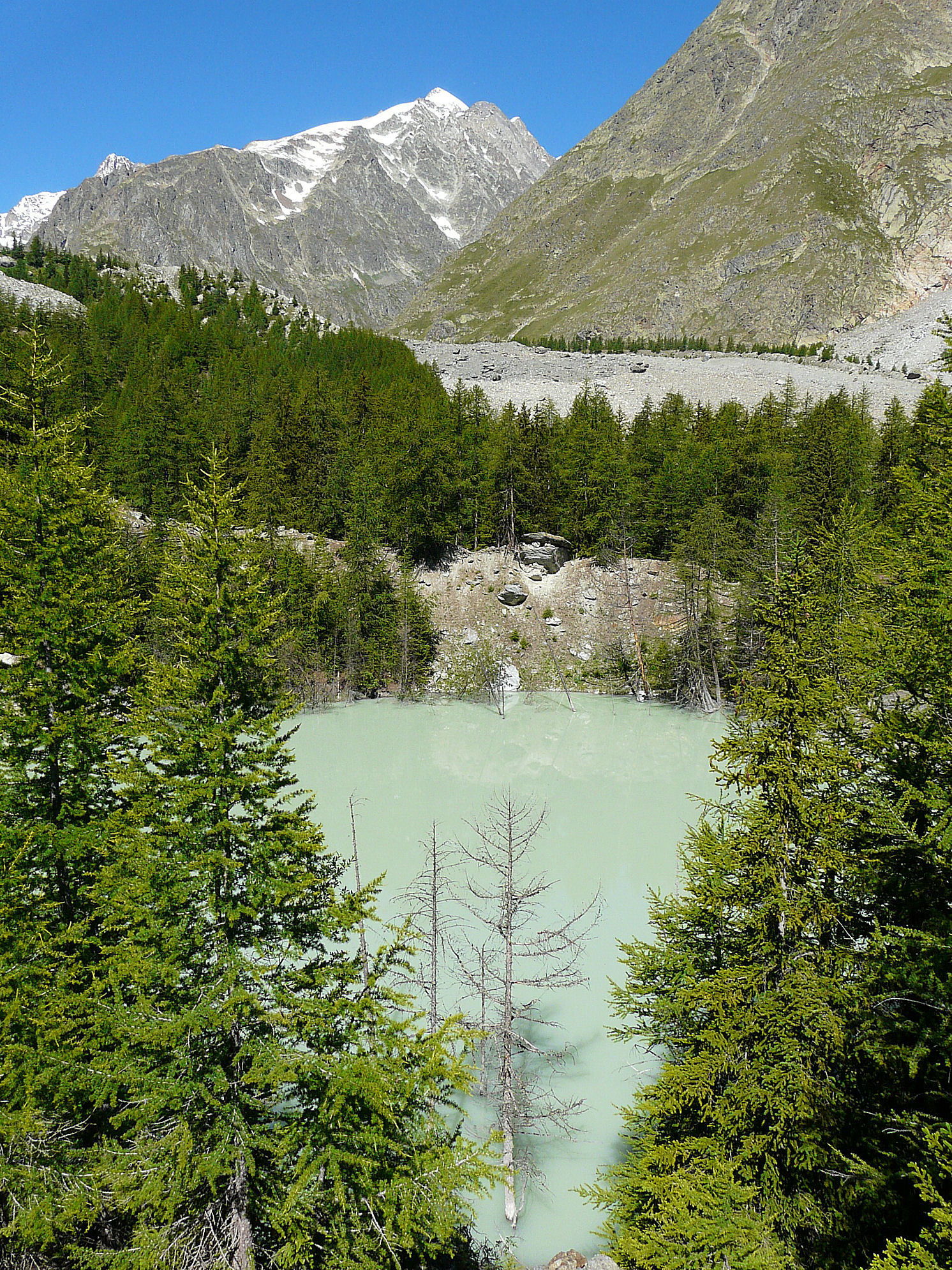 Lac du Miage : Le tour du Jardin... du Miage - Camptocamp.org