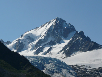 Le Chardonnet