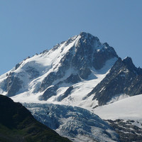 Le Chardonnet