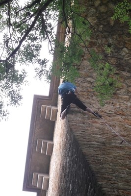 P7 N NE E/PDX dans Morphologique (5c /6a)