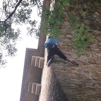 P7 N NE E/PDX dans Morphologique (5c /6a)
