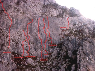 Schizzo MONOGRAFIA Schizzo MONOGRAFIA