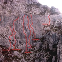Schizzo  MONOGRAFIA