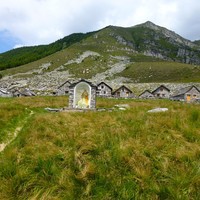 Bardughe