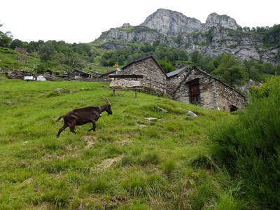 Odro: Cabane - Agritourisme Odro: Cabane - Agritourisme
