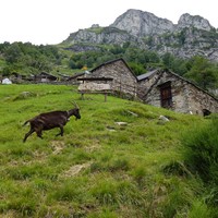 Odro: Cabane - Agritourisme