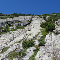 Arbalays