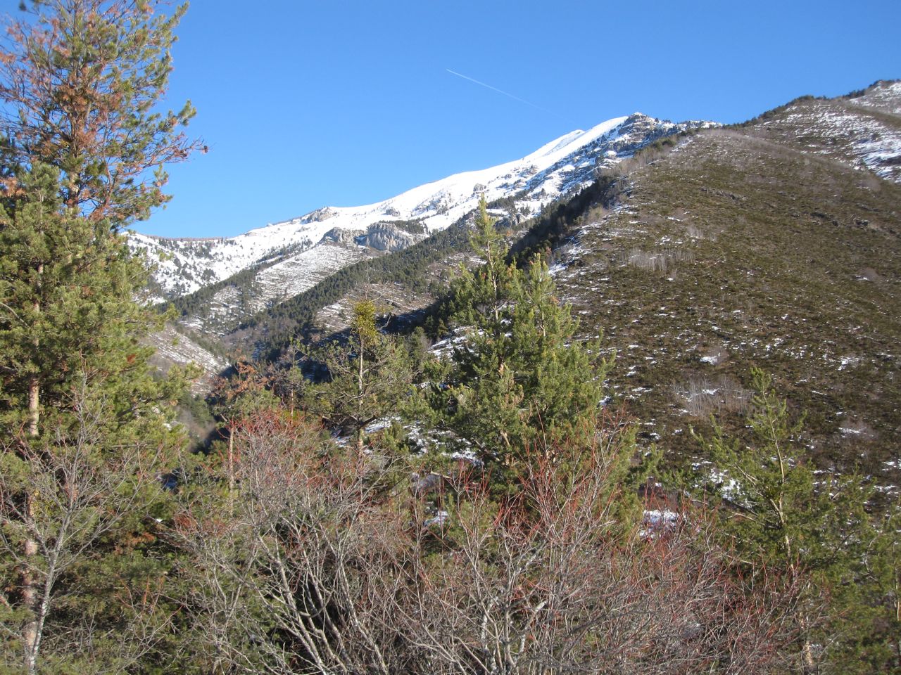Mont Bertrand Mont Bertrand / Cime Missoun