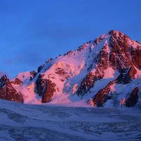 Aiguille du Chardonnet
