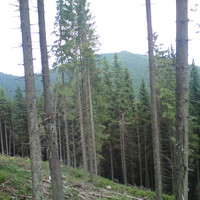 Vue sur Harghita Siculeni - Madefalvi Hargita