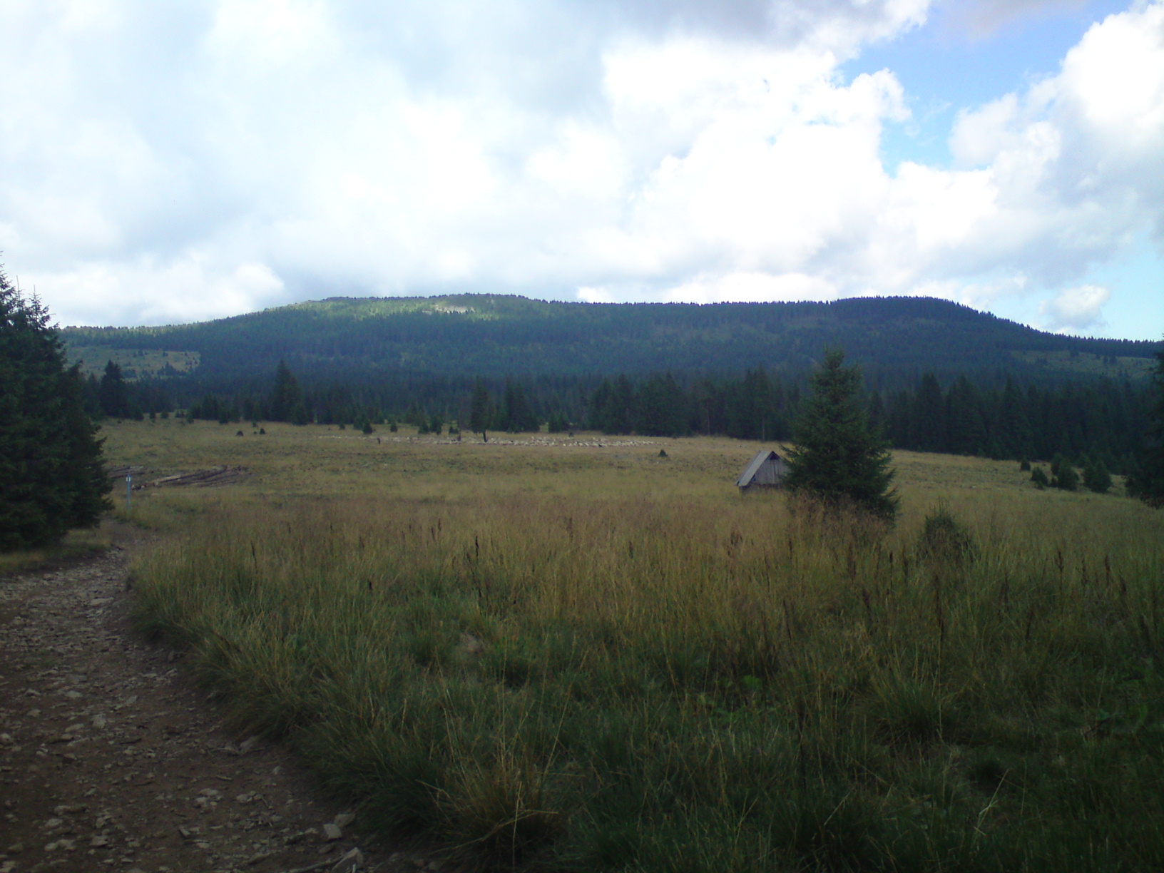 Harghita Mădăraș Depuis Harghita Băi Hargitafürdő