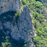 Detail de L3