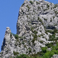 Detail de L5