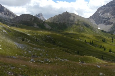 Vallon de Plate Lombarde