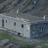 Baraquement militaire bien gardé sous le Col du Saboulé