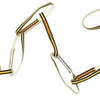 Daisy Chain Grivel