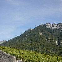 Malatraix au premier plan à droite. Le décollage est le bout de prairie au milieu au second plan