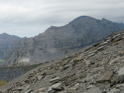 Tenneverge et cornes du Chamois