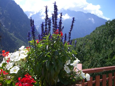 depuis venosc