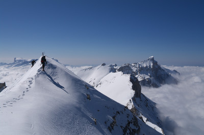 tête de la cavale