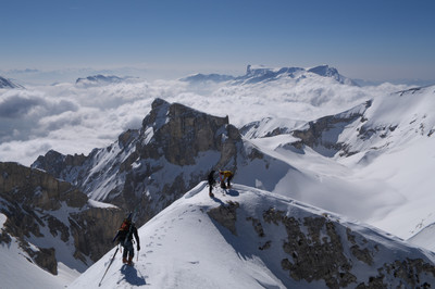 tête de la cavale