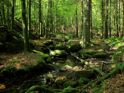 Et au milieu coule une rivière Et au milieu coule une rivière