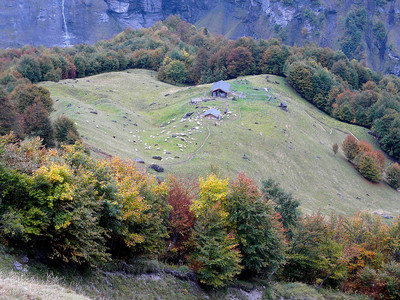 Le Boret Le Boret