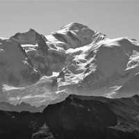 Le seigneur des lieux