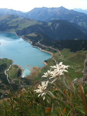 Il est beau le barrage