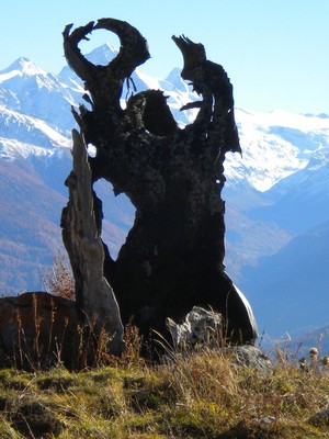 L'arbre foudroyé a dans son viseur La Dent Blanche