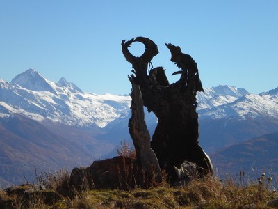 L'homme-arbre avec comme toile de fond le Cervin et la Dent Blanche