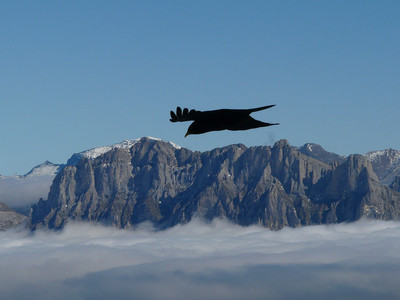 ça plane pour moi