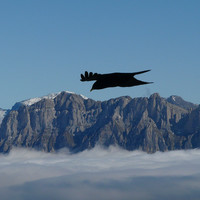 ça plane pour moi