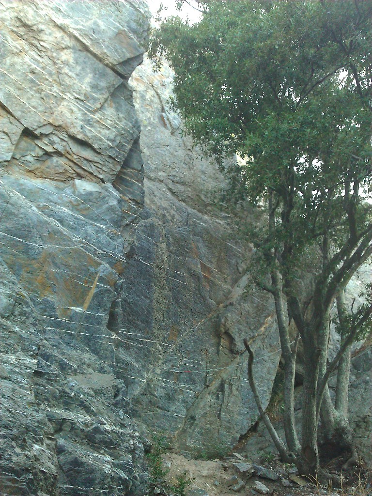 fenouillet falaise 1