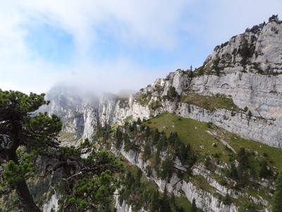 Paysage Paysage