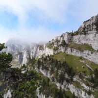 Paysage