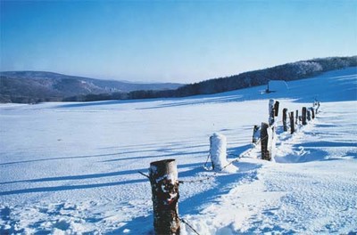 Paysage du massif de l' Aubrac Paysage du massif de l' Aubrac