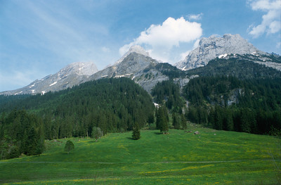 Engelhörner, par omα