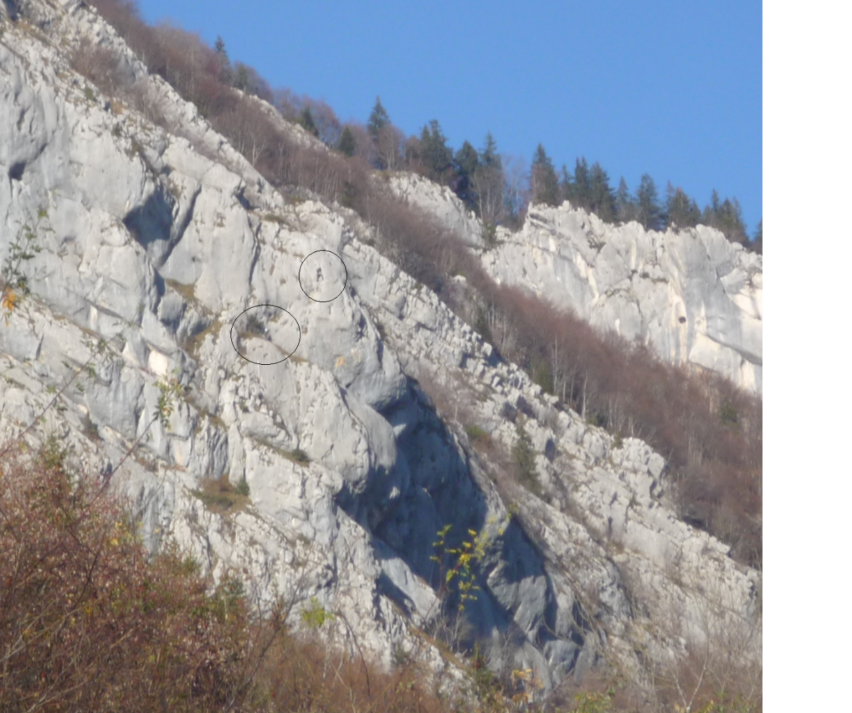 Vue d'ensemble- 2 grimpeurs dans L4