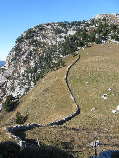 pâturage vue du Roc Lancrenaz