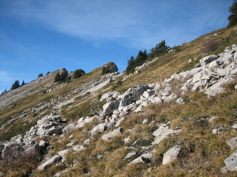 Dans la traversée