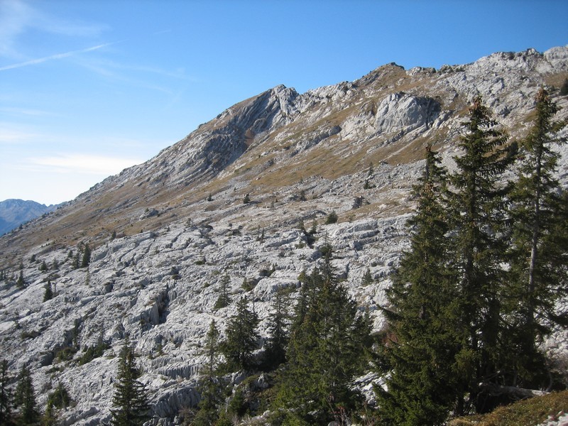 Champ de Lapiaz