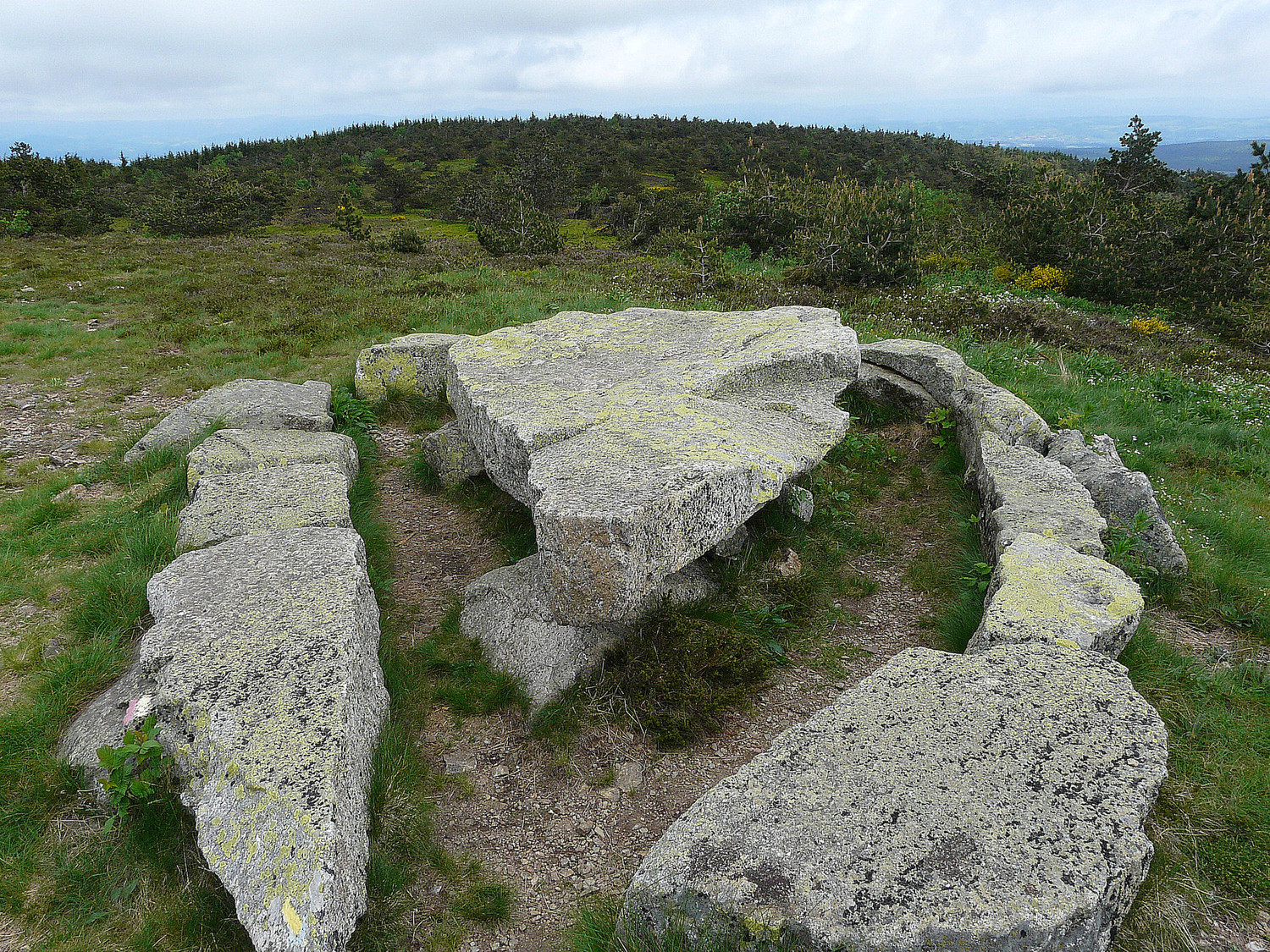 Mont Mouchet le sommet