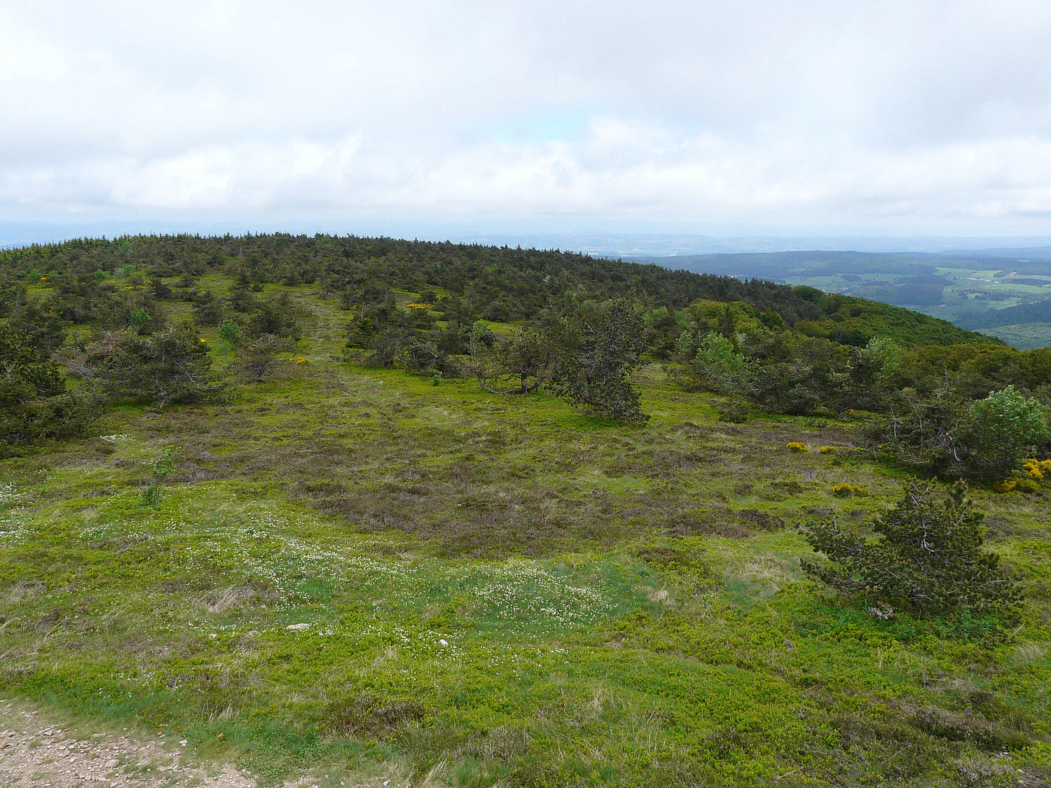 Vue du sommet du mont Mouchet