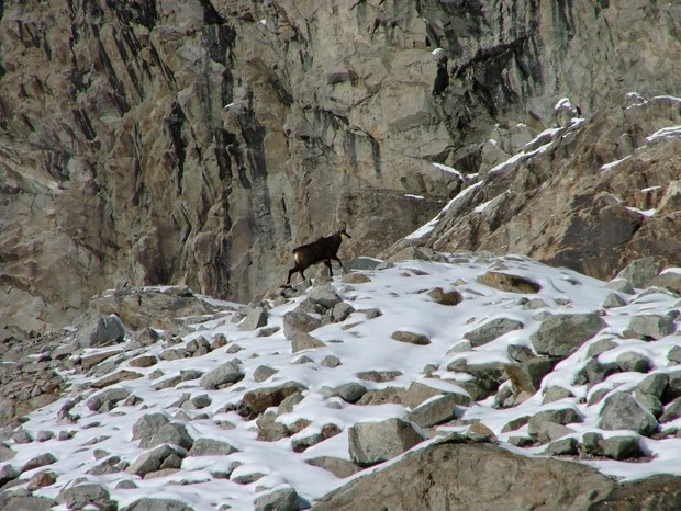 Sur la moraine du glacier de Gruettaz