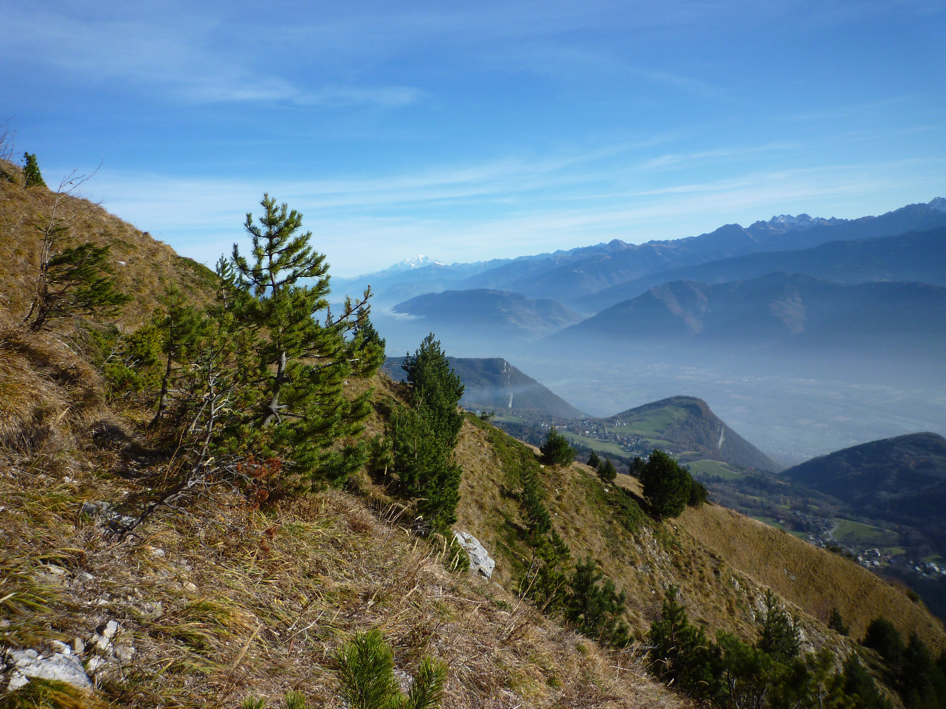 La vue
